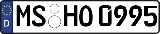 MS-HO0995