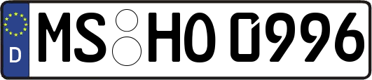 MS-HO0996