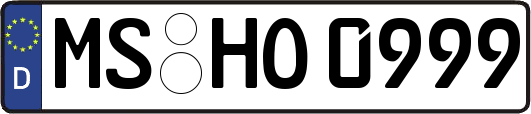 MS-HO0999