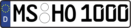 MS-HO1000