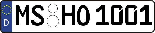 MS-HO1001