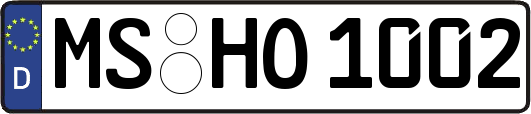 MS-HO1002