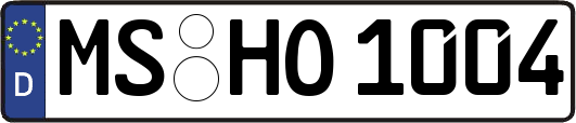 MS-HO1004