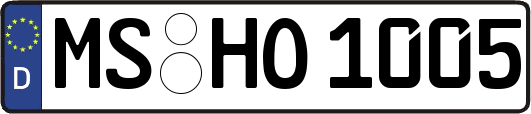 MS-HO1005