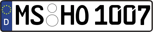 MS-HO1007