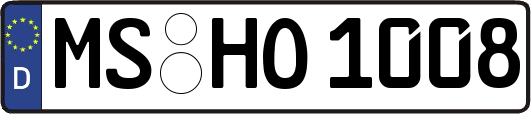 MS-HO1008