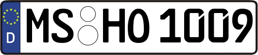 MS-HO1009
