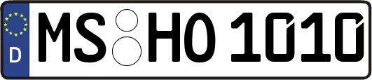 MS-HO1010