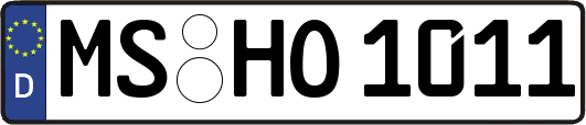 MS-HO1011