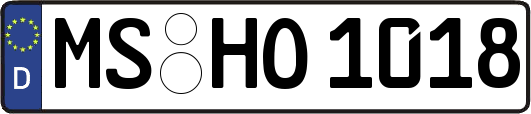 MS-HO1018