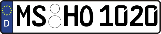 MS-HO1020
