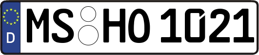 MS-HO1021