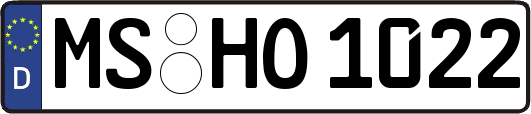 MS-HO1022