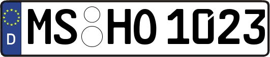 MS-HO1023