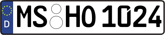 MS-HO1024