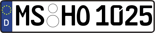 MS-HO1025