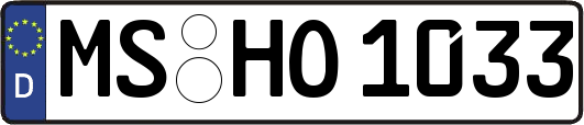 MS-HO1033