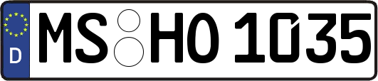 MS-HO1035