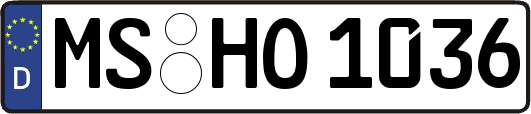 MS-HO1036