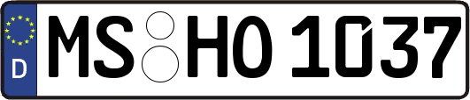 MS-HO1037