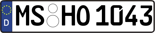 MS-HO1043