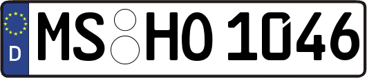 MS-HO1046
