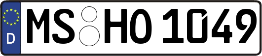 MS-HO1049