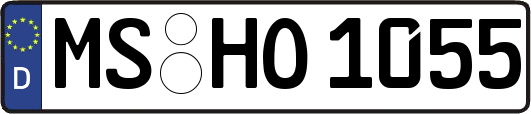 MS-HO1055