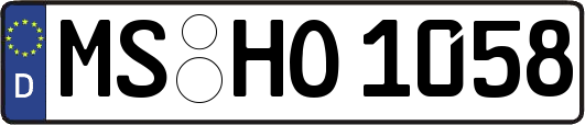 MS-HO1058