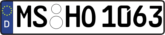 MS-HO1063