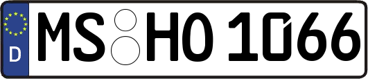 MS-HO1066