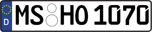MS-HO1070