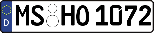 MS-HO1072