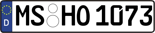 MS-HO1073