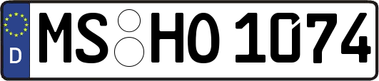 MS-HO1074