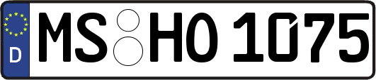 MS-HO1075
