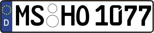 MS-HO1077