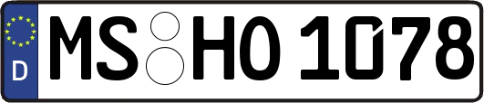 MS-HO1078