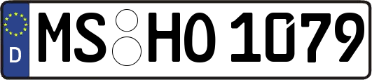 MS-HO1079