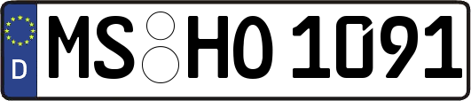 MS-HO1091