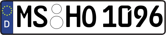 MS-HO1096
