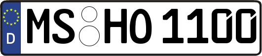 MS-HO1100