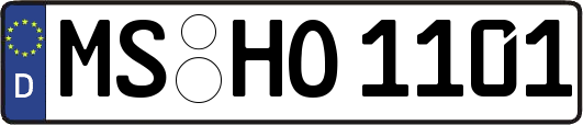 MS-HO1101