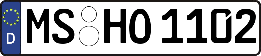 MS-HO1102