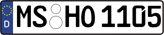 MS-HO1105