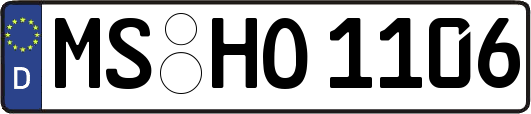 MS-HO1106