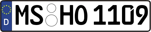 MS-HO1109