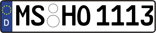 MS-HO1113