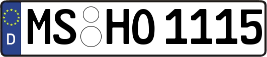 MS-HO1115