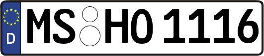 MS-HO1116